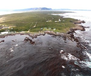 Agtergrond van die Gansbaai Boek